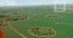 Fazenda para lavoura e pasto com toda infraestrutura 29.739 hectares | Bacia do Araguia – TO