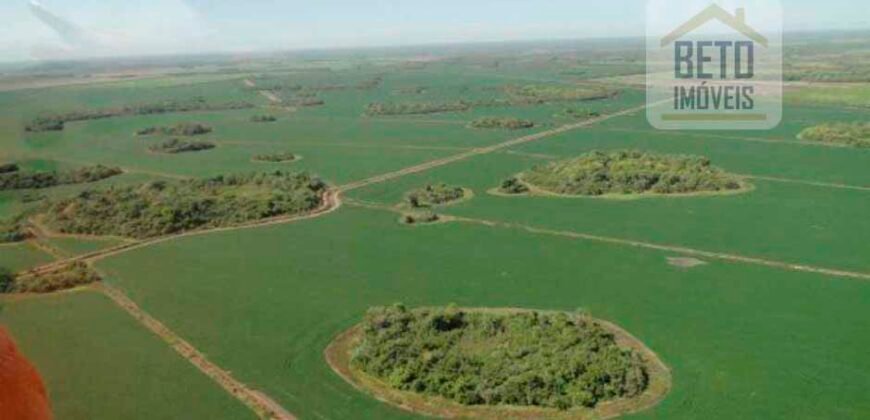 Fazenda para lavoura e pasto com toda infraestrutura 29.739 hectares | Bacia do Araguia – TO