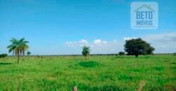 Fazenda para lavoura e pasto com toda infraestrutura 29.739 hectares | Bacia do Araguia – TO