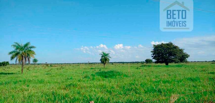 Fazenda para lavoura e pasto com toda infraestrutura 29.739 hectares | Bacia do Araguia – TO