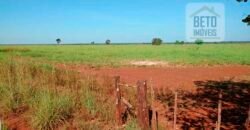 Fazenda para lavoura e pasto com toda infraestrutura 29.739 hectares | Bacia do Araguia – TO
