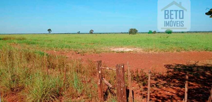 Fazenda para lavoura e pasto com toda infraestrutura 29.739 hectares | Bacia do Araguia – TO