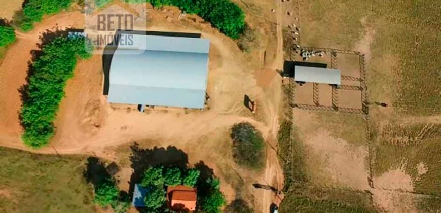 Fazenda para lavoura e pasto com toda infraestrutura 29.739 hectares | Bacia do Araguia – TO