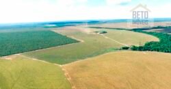 Fazenda para lavoura e pasto com toda infraestrutura 29.739 hectares | Bacia do Araguia – TO