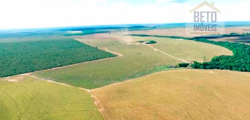 Fazenda para lavoura e pasto com toda infraestrutura 29.739 hectares | Bacia do Araguia – TO