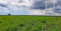 Fazenda para lavoura e pasto com toda infraestrutura 29.739 hectares | Bacia do Araguia – TO