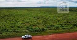 Fazenda para lavoura e pasto com toda infraestrutura 29.739 hectares | Bacia do Araguia – TO