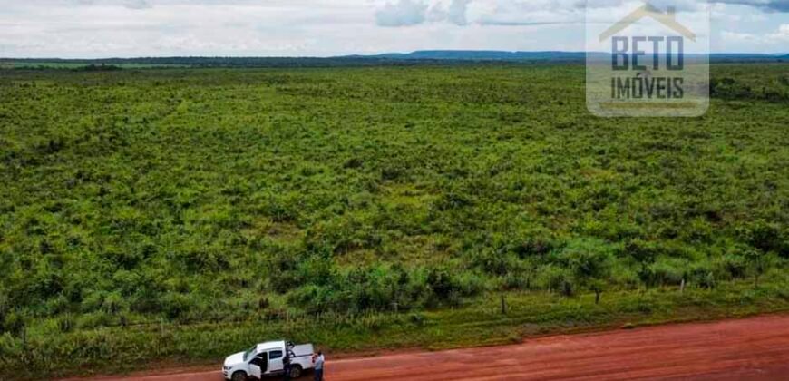 Fazenda para lavoura e pasto com toda infraestrutura 29.739 hectares | Bacia do Araguia – TO