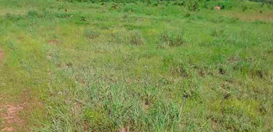 Fazenda para lavoura e pasto com toda infraestrutura 29.739 hectares | Bacia do Araguia – TO