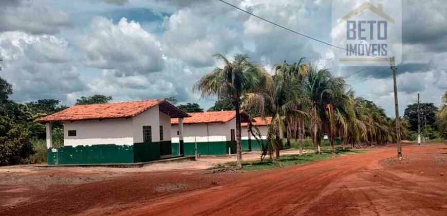 Fazenda para lavoura e pasto com toda infraestrutura 29.739 hectares | Bacia do Araguia – TO