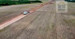 Fazenda para lavoura e pasto com toda infraestrutura 29.739 hectares | Bacia do Araguia – TO
