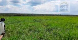 Fazenda para lavoura e pasto com toda infraestrutura 29.739 hectares | Bacia do Araguia – TO