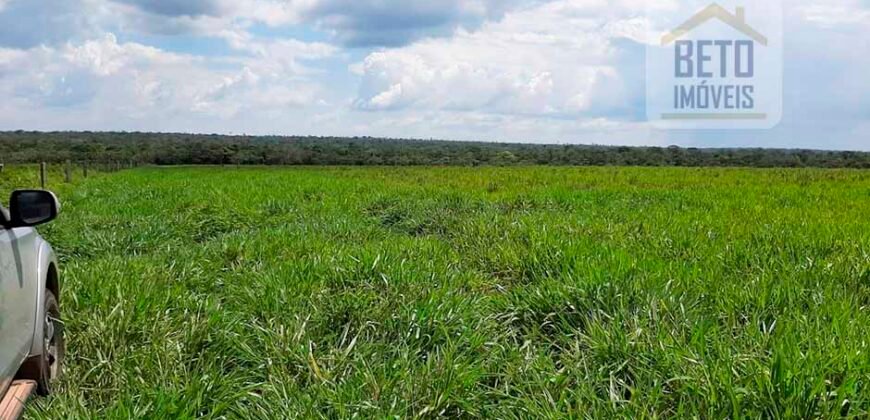 Fazenda para lavoura e pasto com toda infraestrutura 29.739 hectares | Bacia do Araguia – TO