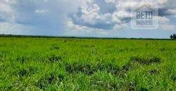 Fazenda para lavoura e pasto com toda infraestrutura 29.739 hectares | Bacia do Araguia – TO