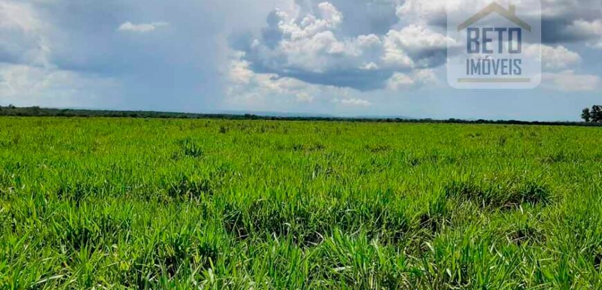 Fazenda para lavoura e pasto com toda infraestrutura 29.739 hectares | Bacia do Araguia – TO