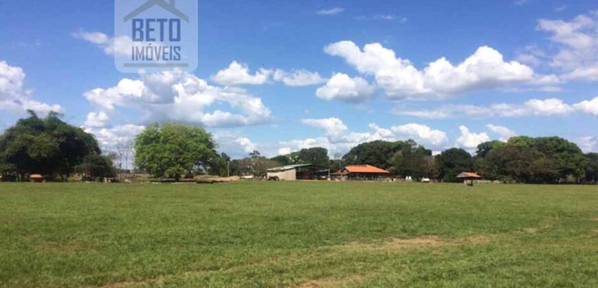 Fazenda Completa 40.600 hectares c pista de pouso e hangar | Pium/ TO