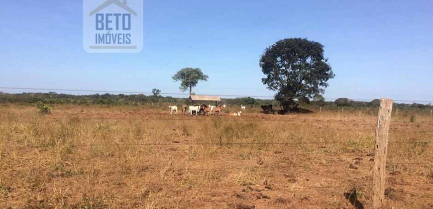 Fazenda Completa 40.600 hectares c pista de pouso e hangar | Pium/ TO