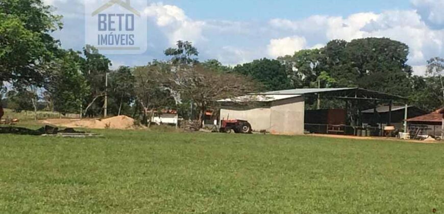 Fazenda Completa 40.600 hectares c pista de pouso e hangar | Pium/ TO