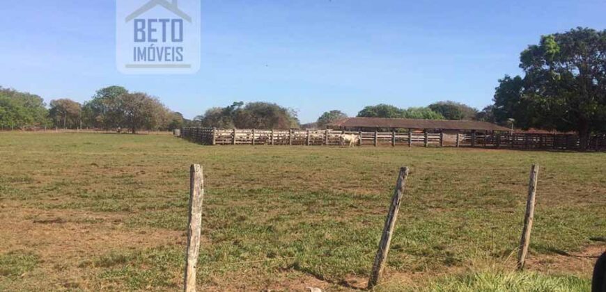 Fazenda Completa 40.600 hectares c pista de pouso e hangar | Pium/ TO