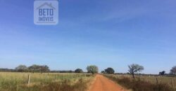 Fazenda Completa 40.600 hectares c pista de pouso e hangar | Pium/ TO