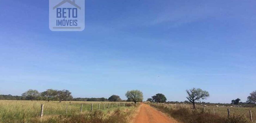 Fazenda Completa 40.600 hectares c pista de pouso e hangar | Pium/ TO