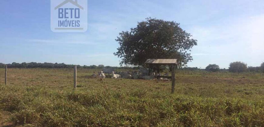 Fazenda Completa 40.600 hectares c pista de pouso e hangar | Pium/ TO