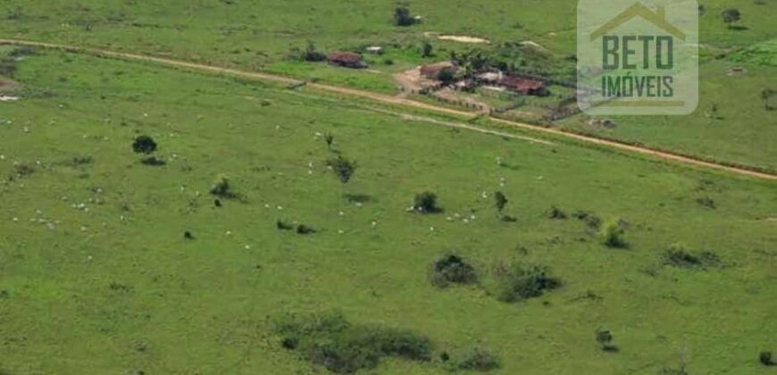 Fazenda Completíssima 149.166 hectares venda porteira fechada | Rondolândia/ MT