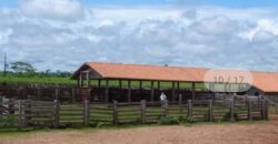 Fazenda Completíssima 149.166 hectares venda porteira fechada | Rondolândia/ MT