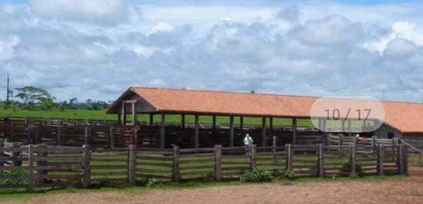 Fazenda Completíssima 149.166 hectares venda porteira fechada | Rondolândia/ MT