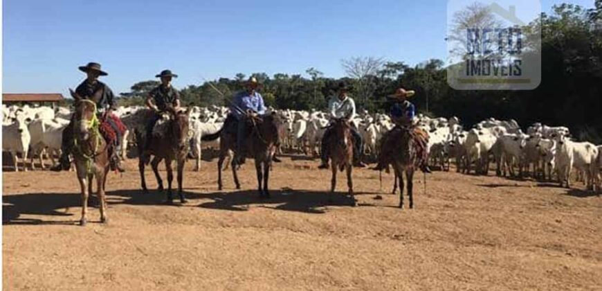 Fazenda Completíssima 149.166 hectares venda porteira fechada | Rondolândia/ MT