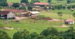 Fazenda Completíssima 149.166 hectares venda porteira fechada | Rondolândia/ MT