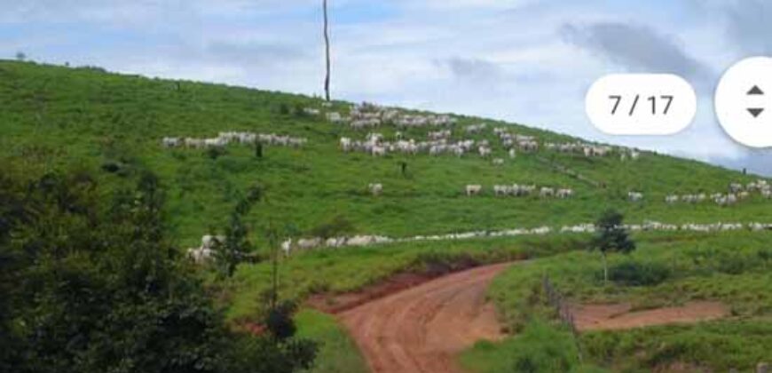 Fazenda Completíssima 149.166 hectares venda porteira fechada | Rondolândia/ MT