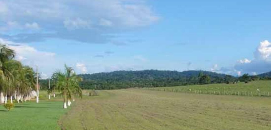 Fazenda Completíssima 149.166 hectares venda porteira fechada | Rondolândia/ MT