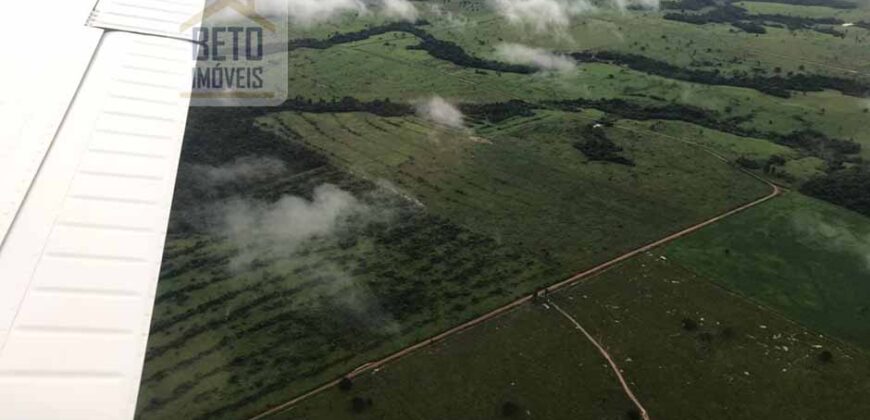 Fazenda Completíssima 149.166 hectares venda porteira fechada | Rondolândia/ MT