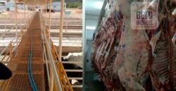 Fazenda Top Pecuária, Lavoura, Piscicultura e Frigorífico 60.288 ha | Muquém de São Francisco/ BA
