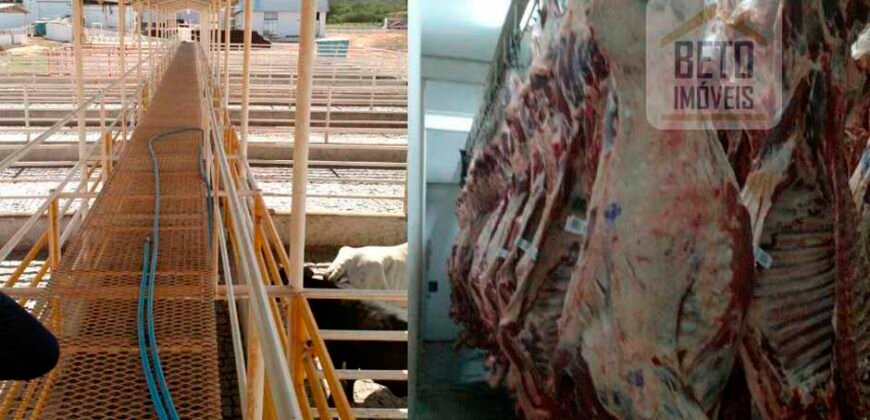Fazenda Top Pecuária, Lavoura, Piscicultura e Frigorífico 60.288 ha | Muquém de São Francisco/ BA