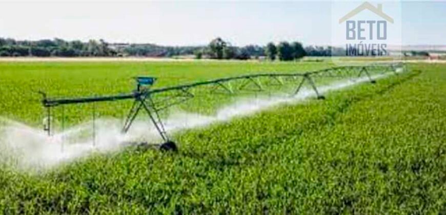 Fazenda Top Pecuária, Lavoura, Piscicultura e Frigorífico 60.288 ha | Muquém de São Francisco/ BA