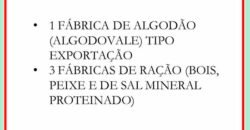 Fazenda Top Pecuária, Lavoura, Piscicultura e Frigorífico 60.288 ha | Muquém de São Francisco/ BA