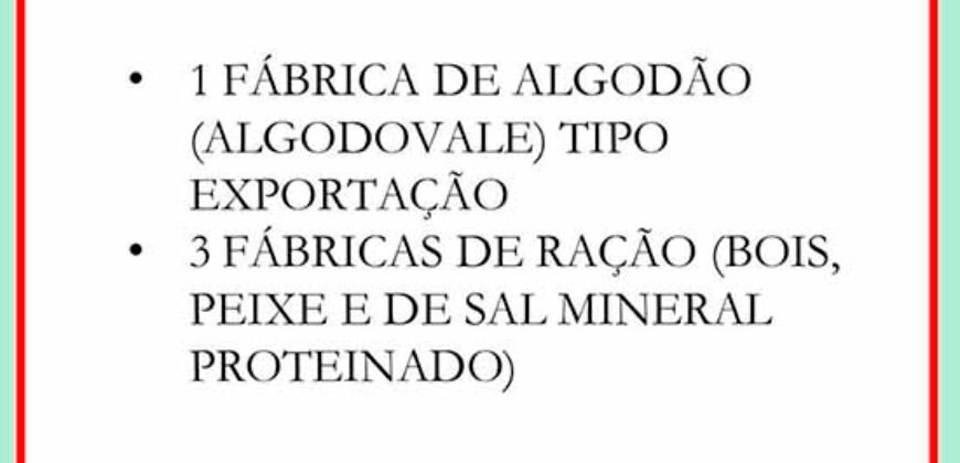 Fazenda Top Pecuária, Lavoura, Piscicultura e Frigorífico 60.288 ha | Muquém de São Francisco/ BA