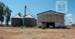 Fazenda Top Pecuária, Lavoura, Piscicultura e Frigorífico 60.288 ha | Muquém de São Francisco/ BA
