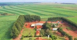 Fazenda Dupla Aptidão Lavoura e Pasto toda estruturada c pista de pouso e hangar | Paranatinga/ MT