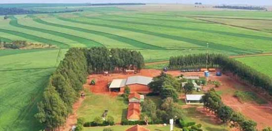 Fazenda Dupla Aptidão Lavoura e Pasto toda estruturada c pista de pouso e hangar | Paranatinga/ MT