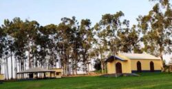 Fazenda Dupla Aptidão Lavoura e Pasto toda estruturada c pista de pouso e hangar | Paranatinga/ MT