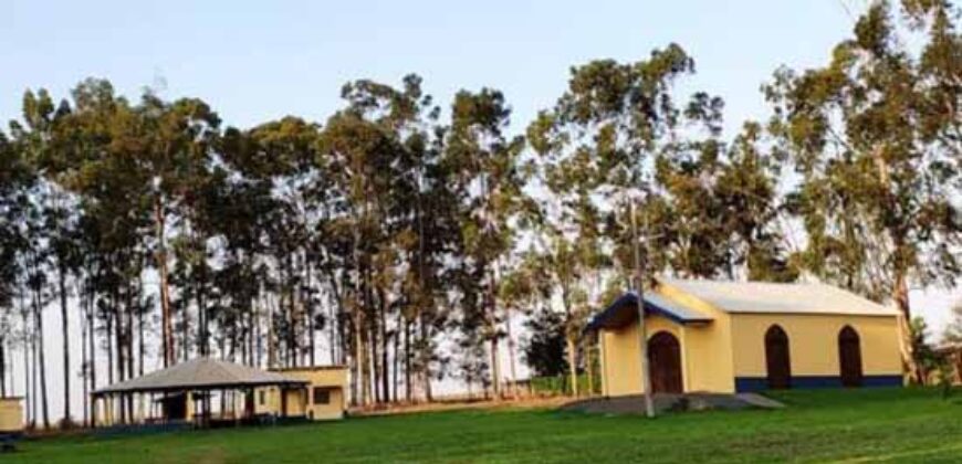 Fazenda Dupla Aptidão Lavoura e Pasto toda estruturada c pista de pouso e hangar | Paranatinga/ MT