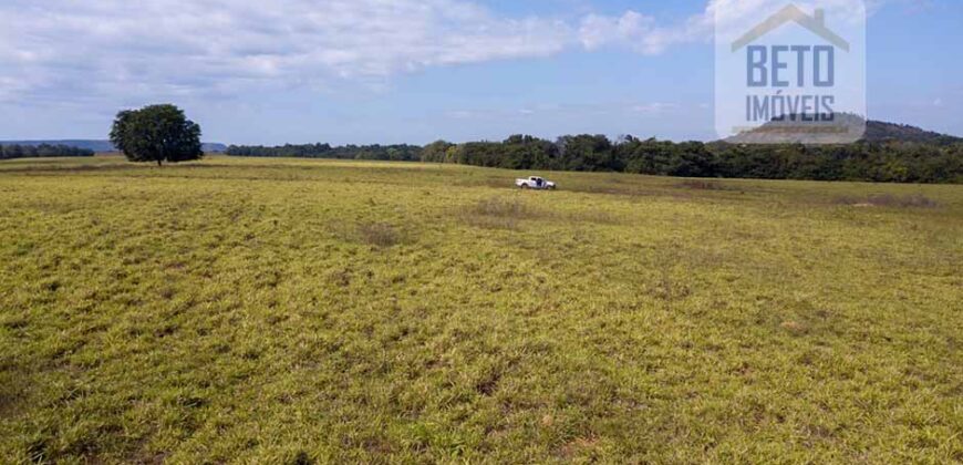 Fazenda Dupla Aptidão Lavoura e Pasto com 18.800 hectares | Zona Rural de Goiatins/ TO