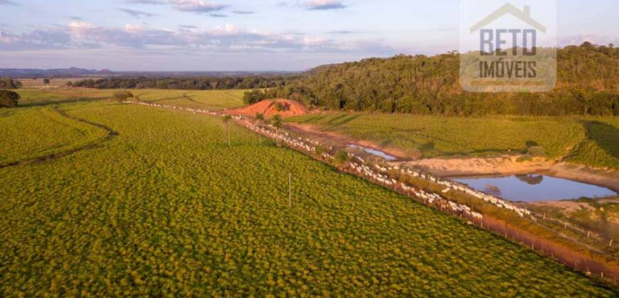 Fazenda Dupla Aptidão Lavoura e Pasto com 18.800 hectares | Zona Rural de Goiatins/ TO