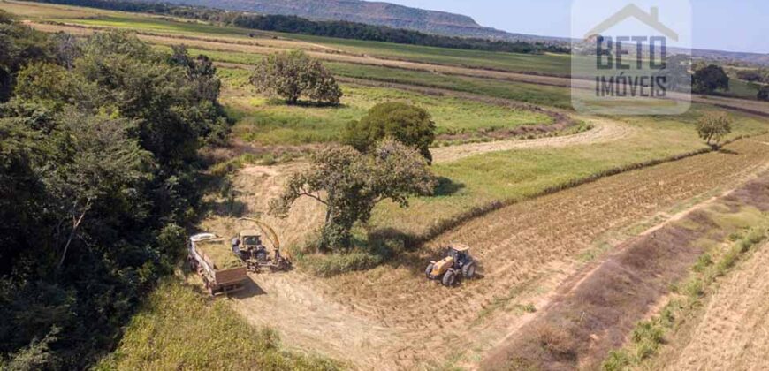 Fazenda Dupla Aptidão Lavoura e Pasto com 18.800 hectares | Zona Rural de Goiatins/ TO