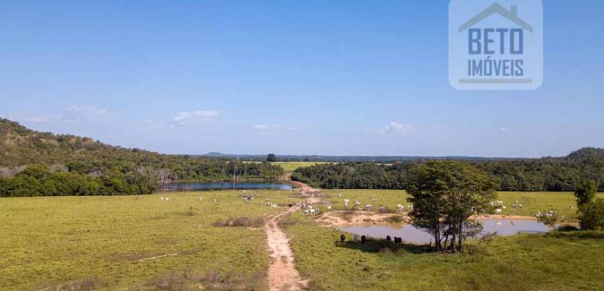 Fazenda Dupla Aptidão Lavoura e Pasto com 18.800 hectares | Zona Rural de Goiatins/ TO