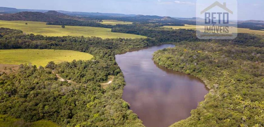 Fazenda Dupla Aptidão Lavoura e Pasto com 18.800 hectares | Zona Rural de Goiatins/ TO