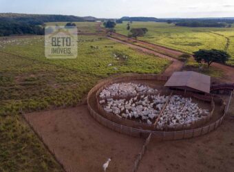 Fazenda Dupla Aptidão Lavoura e Pasto com 18.800 hectares | Zona Rural de Goiatins/ TO